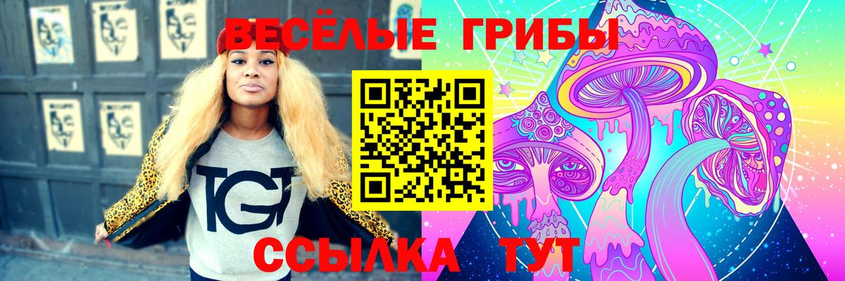 Галлюциногенные грибы прущие грибы Богородск